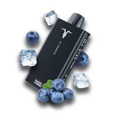 BLUEBERRY ICE IGNITE V150 PRO