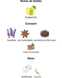 MAISON ALHAMBRA SALVO INTENSE 100ml