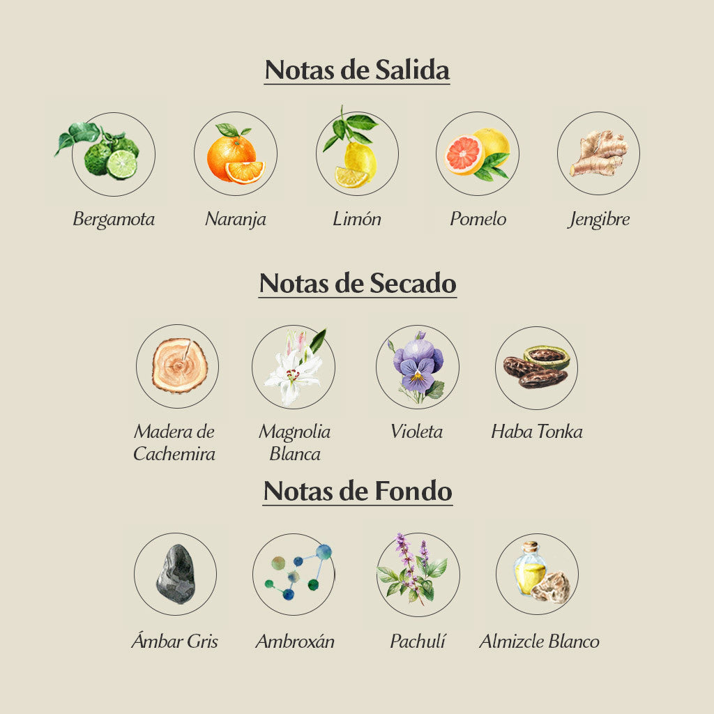 DECANT 5ML BHARARA VIKING DUBAI (GREEN)