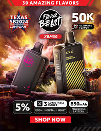 FLAVOR BEAST 50K ORANGE SODA