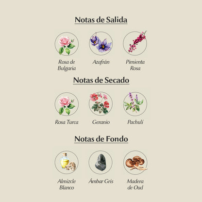 DECANT 5ML BHARARA ROSE EDP FEMENINO